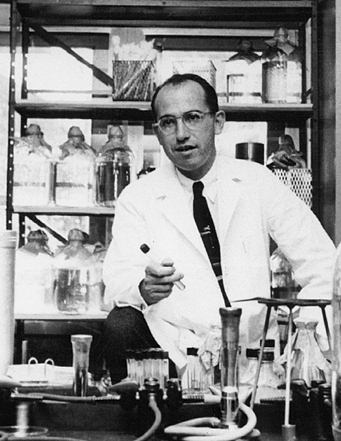 JonasSalk.jpg