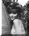 Tina Louise - Gilligan's Island Semi-Gloss Photograph